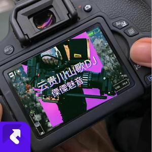 别说你不爱少妇DJ越南风格 (Remix)