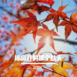 你离开的那个秋天
