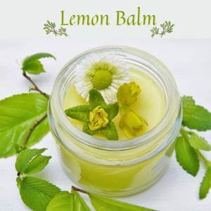 Lemon Balm