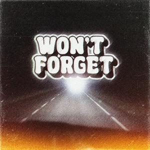 Won't Forget (feat. Vivaa)
