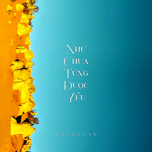 Như Chưa Từng Được Yêu