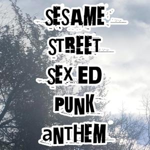 Sesame Street Sex Ed Punk Anthem (B-Side)