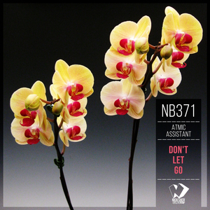 Unconquered (Original Mix)