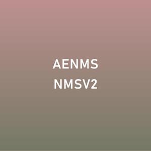 AE.NMS[IX], Vol. II