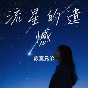 流星的遗憾
