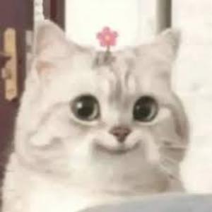 卡点变装自拍专用