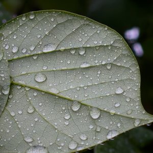 《青春记号》
