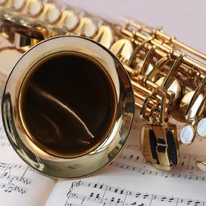 红莓花儿开 (萨克斯浪漫音乐)