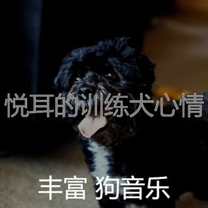 有趣训练犬情怀