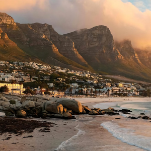 静坐浅巷赏岁月花香