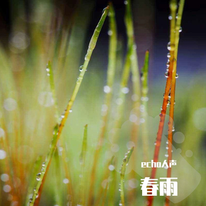 春雨