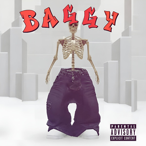 Baggy