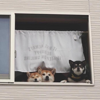 你需要的宝藏组合指南