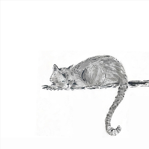 逍遙遊 / 蘭嶼之戀 Enjoyment in Untroubled Ease / Sareedan Ni Kavutulan