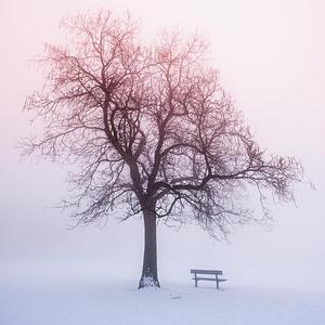 为什么我好想告诉他我是谁