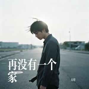 再没有一个家