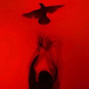 日落沉溺于橘色的海