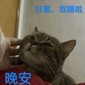 只有月亮跟我走