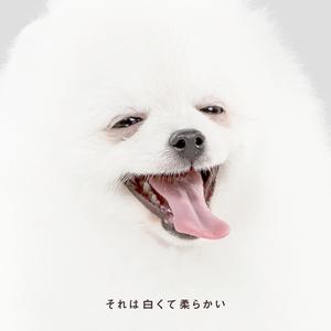 それは白くて柔らかい