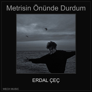 Metrisin Önünde Durdum