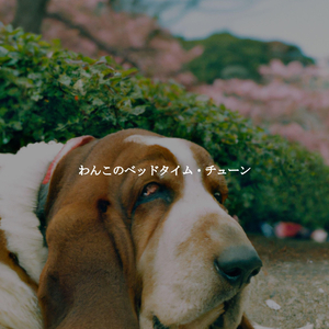 Friendly Enhancing Environments