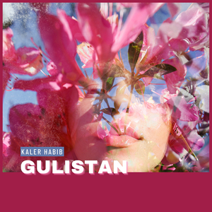 Gulistan