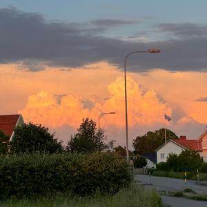 dopamin och endorfiner