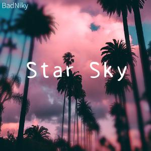 Payphone（BadNiky remix）