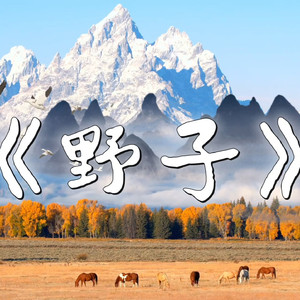 AI翻唱 - 野子