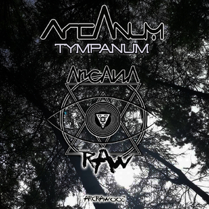 Tympanum