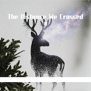 The Distance We Crossed
