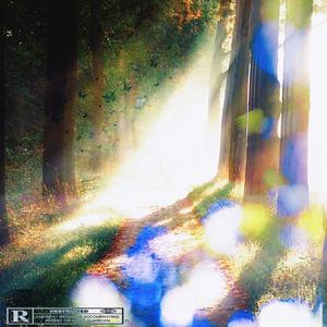 Follow your heart（随心）