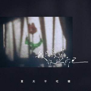 我只爱你仅此而已 (伴奏)