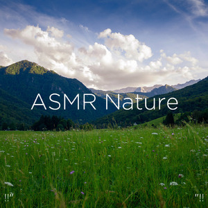 수면을위한 바다의 소리