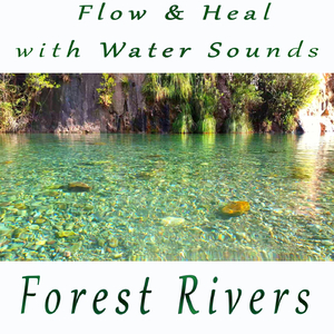 Healing Sounds of a Calming Spring Sunny Day by a Peaceful River in a Remote Small Town