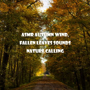 ASMR 가을낙엽소리