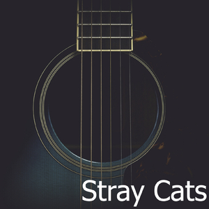 Stray Cat Strut (Live)