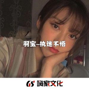 龙珠GT(抖音DJ版)