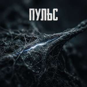 Пульс