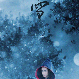 红雪—【傅红雪同人歌】