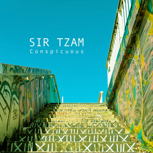 Conspicuous
