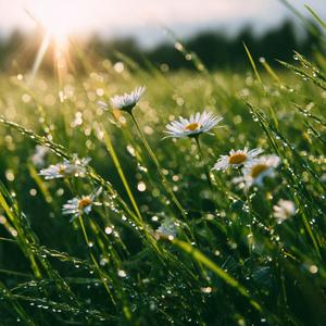 Autumn Through the Window