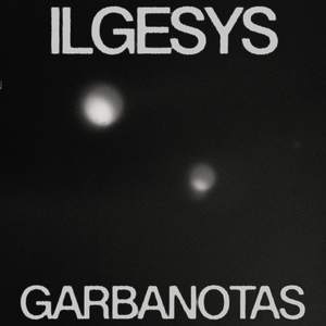 Ilgesys