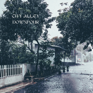 Night Rain in the City