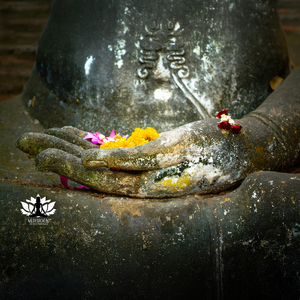 El Círculo Que Se Formó Solo