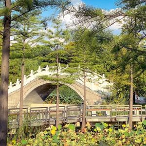 穿越时空的拥抱