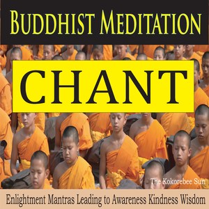 Solo Vedic Prayer (For Meditation)