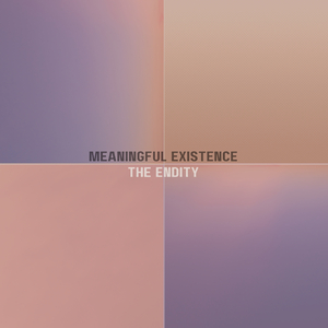 Meaningful Existence