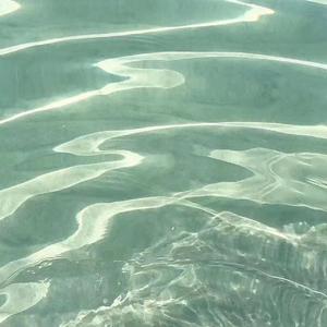 小葱蒜—反方向的钟