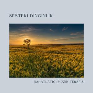 Sakinleştirici Sular